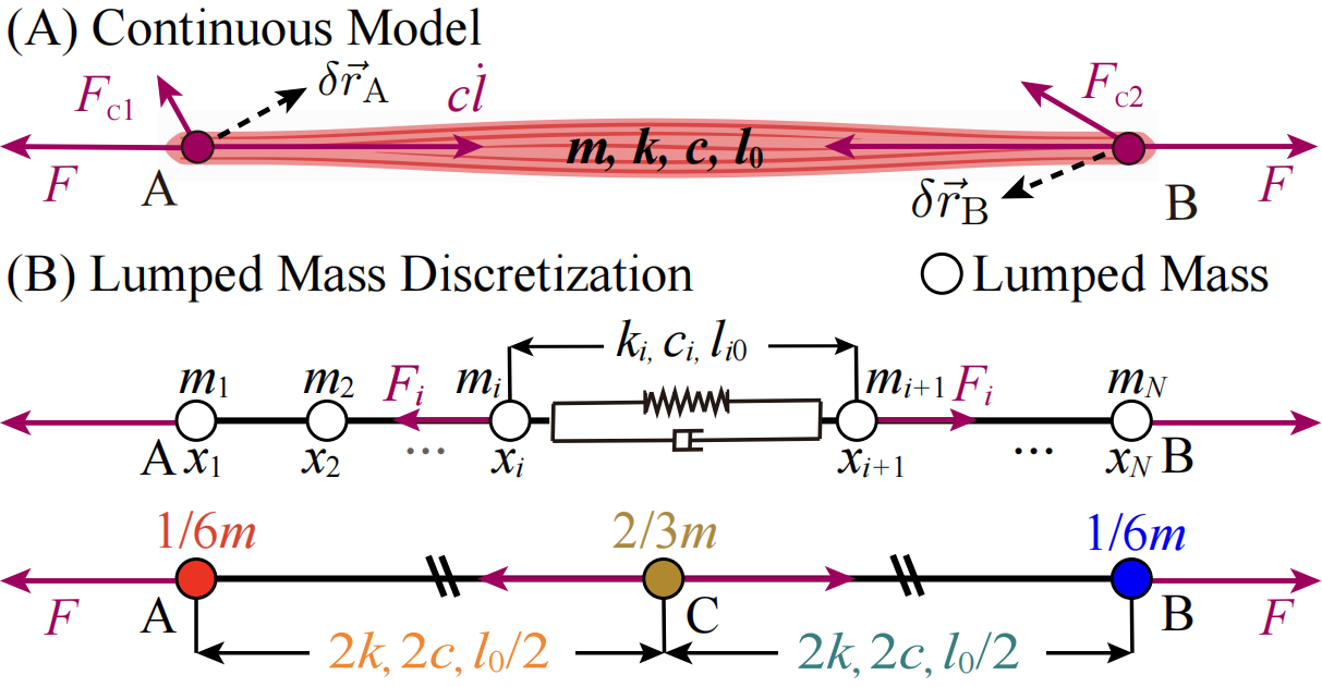 MJCF structure diagram