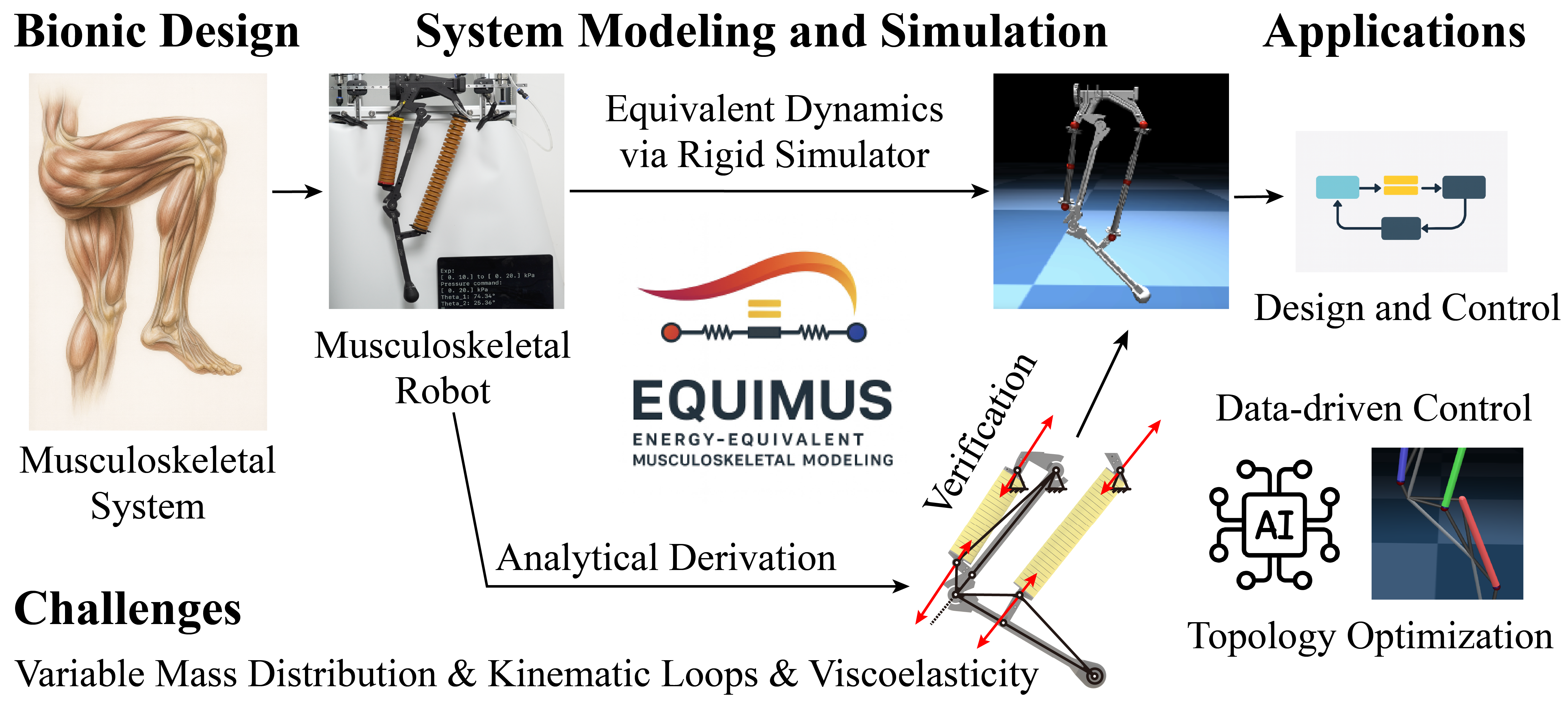 Overview of EquiMus Framework
