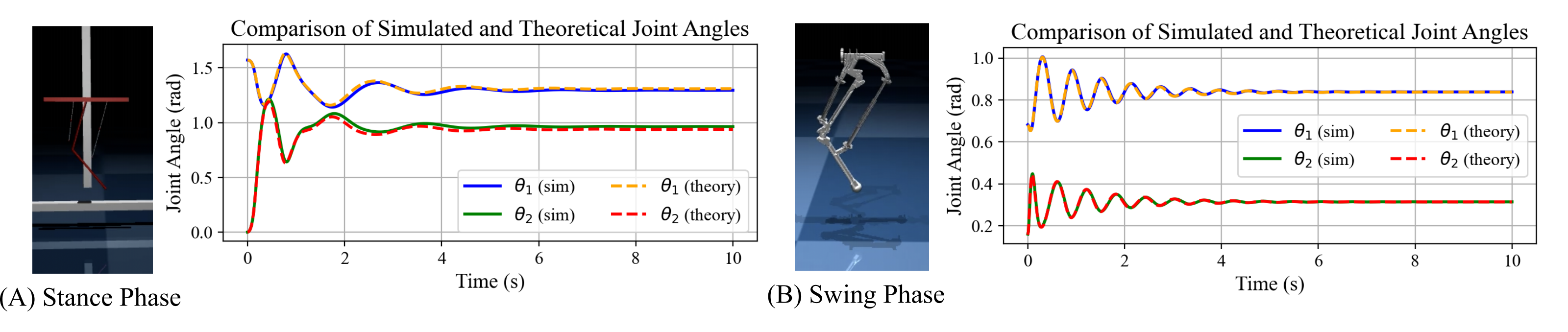 MJCF structure diagram