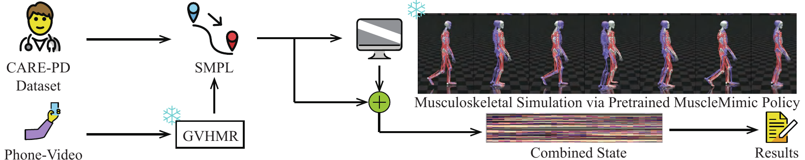 MuscleLens pipeline overview
